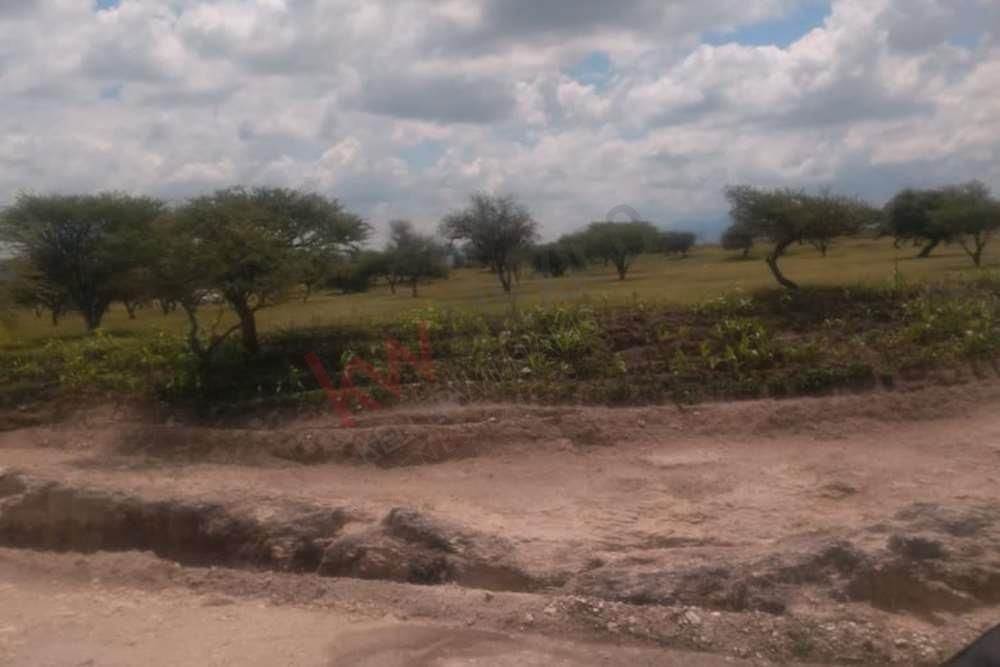 espectacular-terreno-campestre-en-venta-banda-de-oaxaca-en-san-miguel-de-allend16-13143