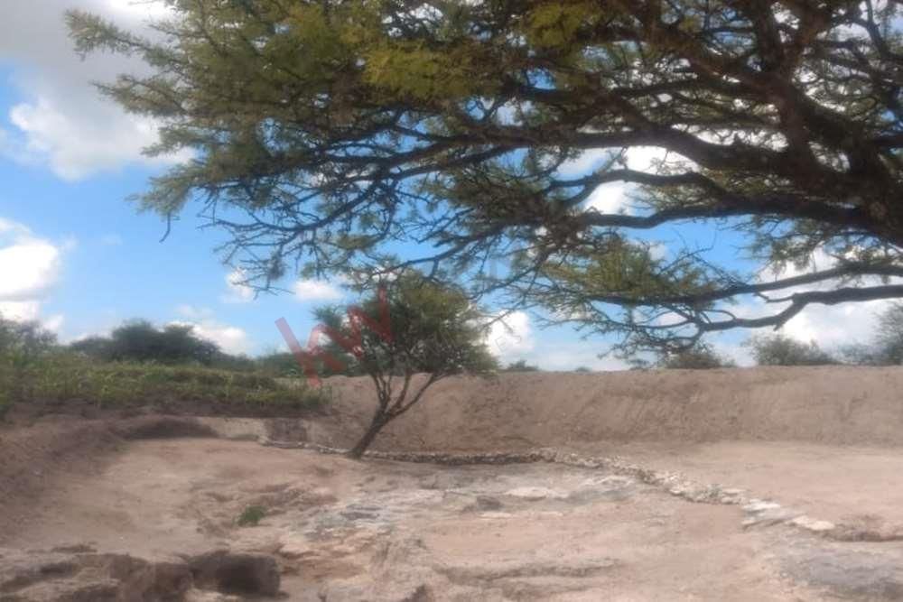 espectacular-terreno-campestre-en-venta-banda-de-oaxaca-en-san-miguel-de-allend19-13143