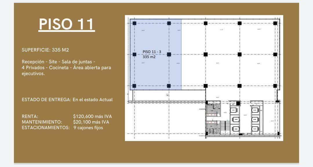 excelente-oficina-acondicionada-en-renta-de-335-m2-en-col-del-valle2-13190