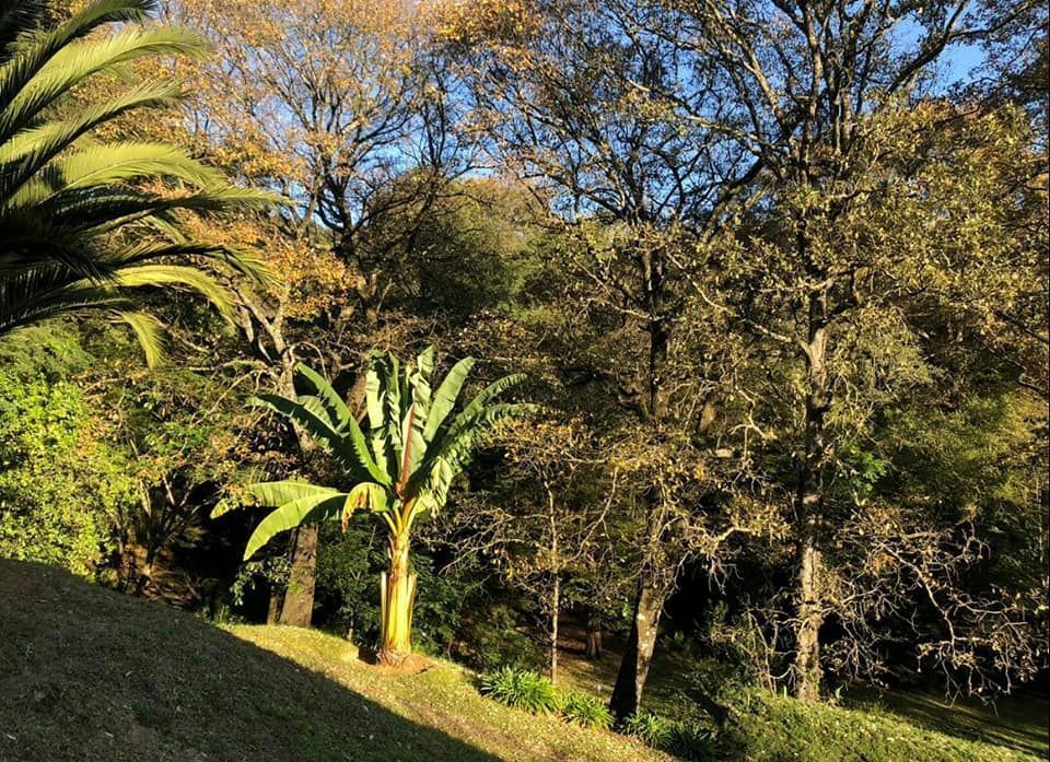 Excelente terreno en   zarco a 10 minutos del centro de tenancingo