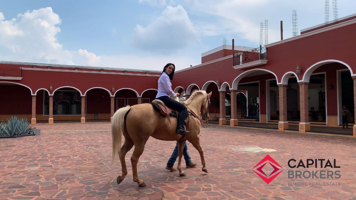 fbrica-de-tequila-en-arandas-jalisco-lujo50-26827