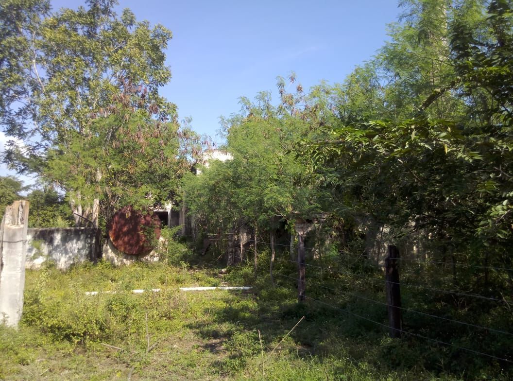 hacienda-en-venta-en-yucatn10-25967