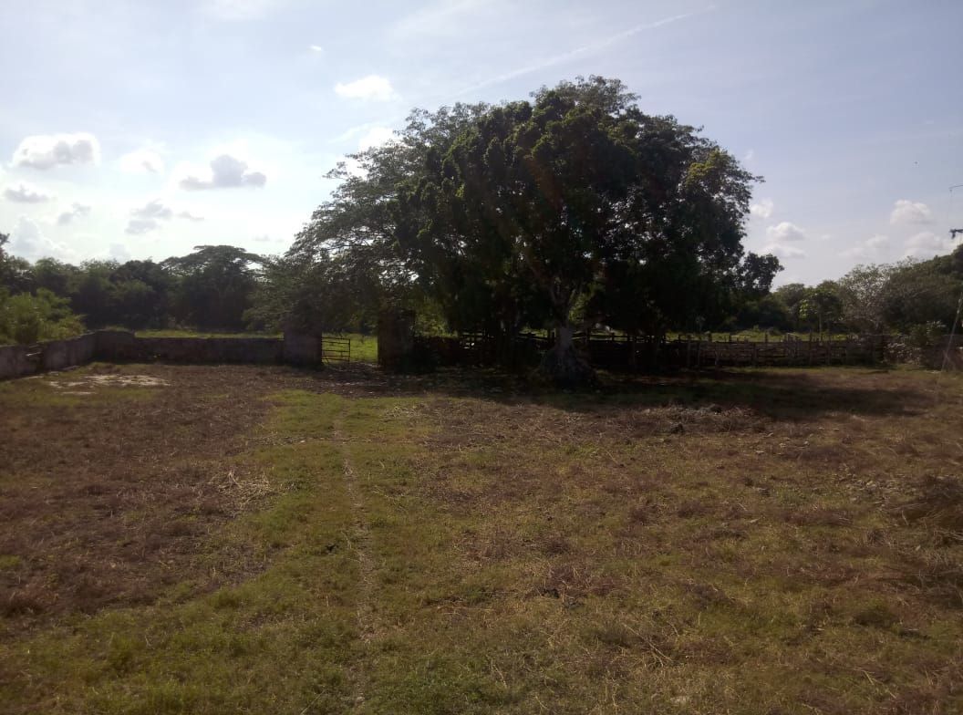 hacienda-en-venta-en-yucatn22-25967