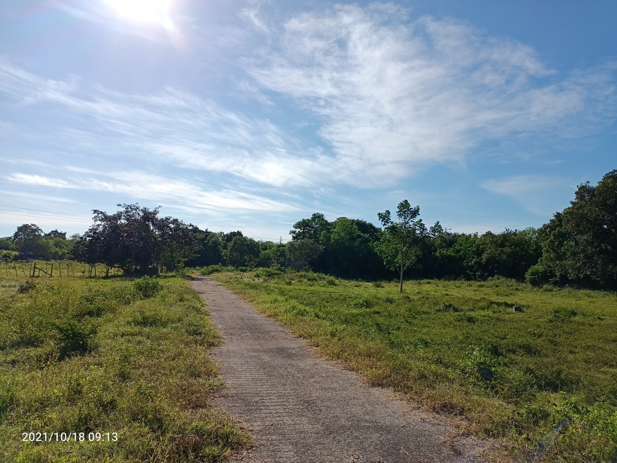 hacienda-en-venta-en-yucatn46-25967