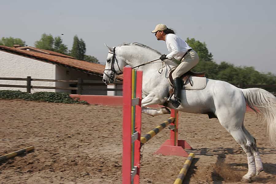 hacienda-mirador-equestrian-en-venta-fracc-el-mirador-en-san-miguel-de-allende14-13110