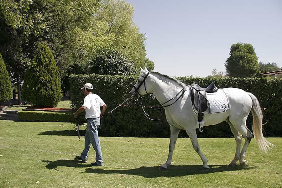 hacienda-mirador-equestrian-en-venta-fracc-el-mirador-en-san-miguel-de-allende16-13110