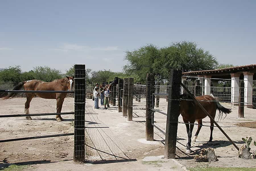 hacienda-mirador-equestrian-en-venta-fracc-el-mirador-en-san-miguel-de-allende17-13110