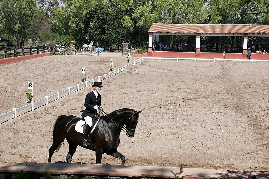 hacienda-mirador-equestrian-en-venta-fracc-el-mirador-en-san-miguel-de-allende22-13110