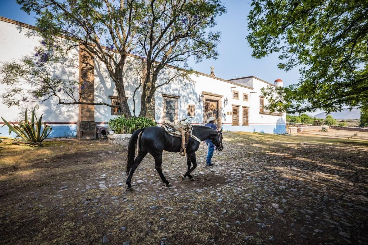 Hacienda Xajay En Venta, Estado De Hidalgo