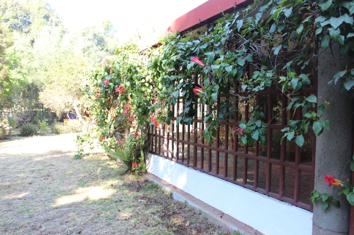 hermoso-rancho-ecolgico-sustentable-arbolado-en-privada7-34745