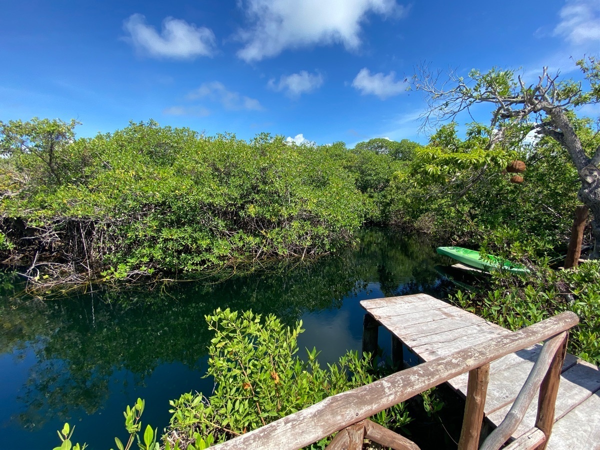 hotel-en-venta--tulum16-25020