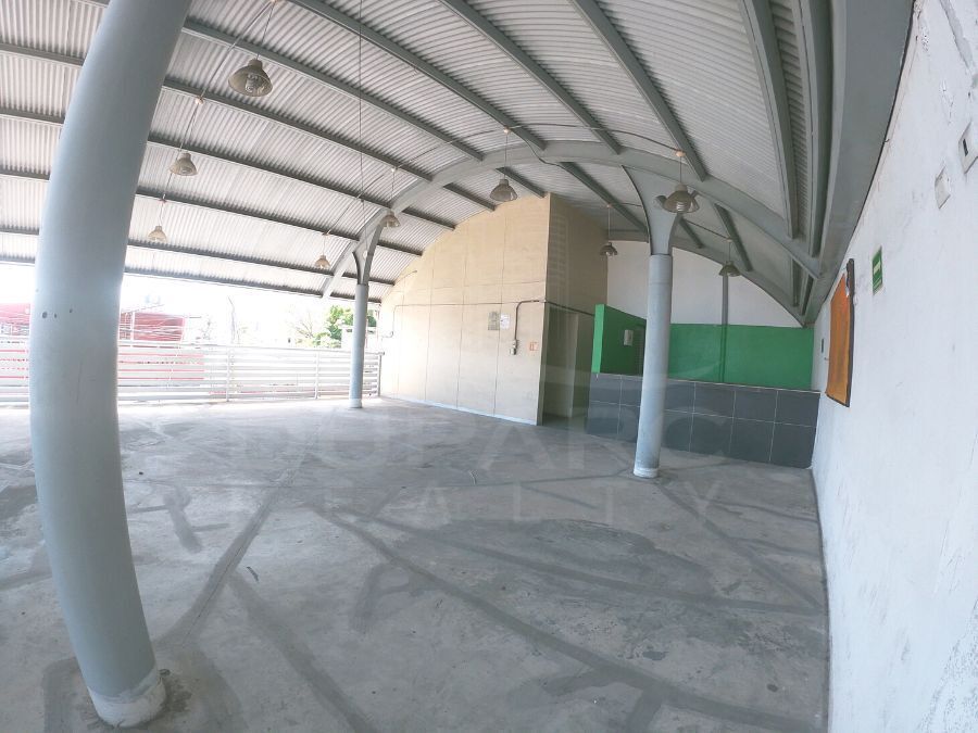 local-comercial--oficinas-en-renta-sobre-la-calle-26-carmen-campeche11-21117