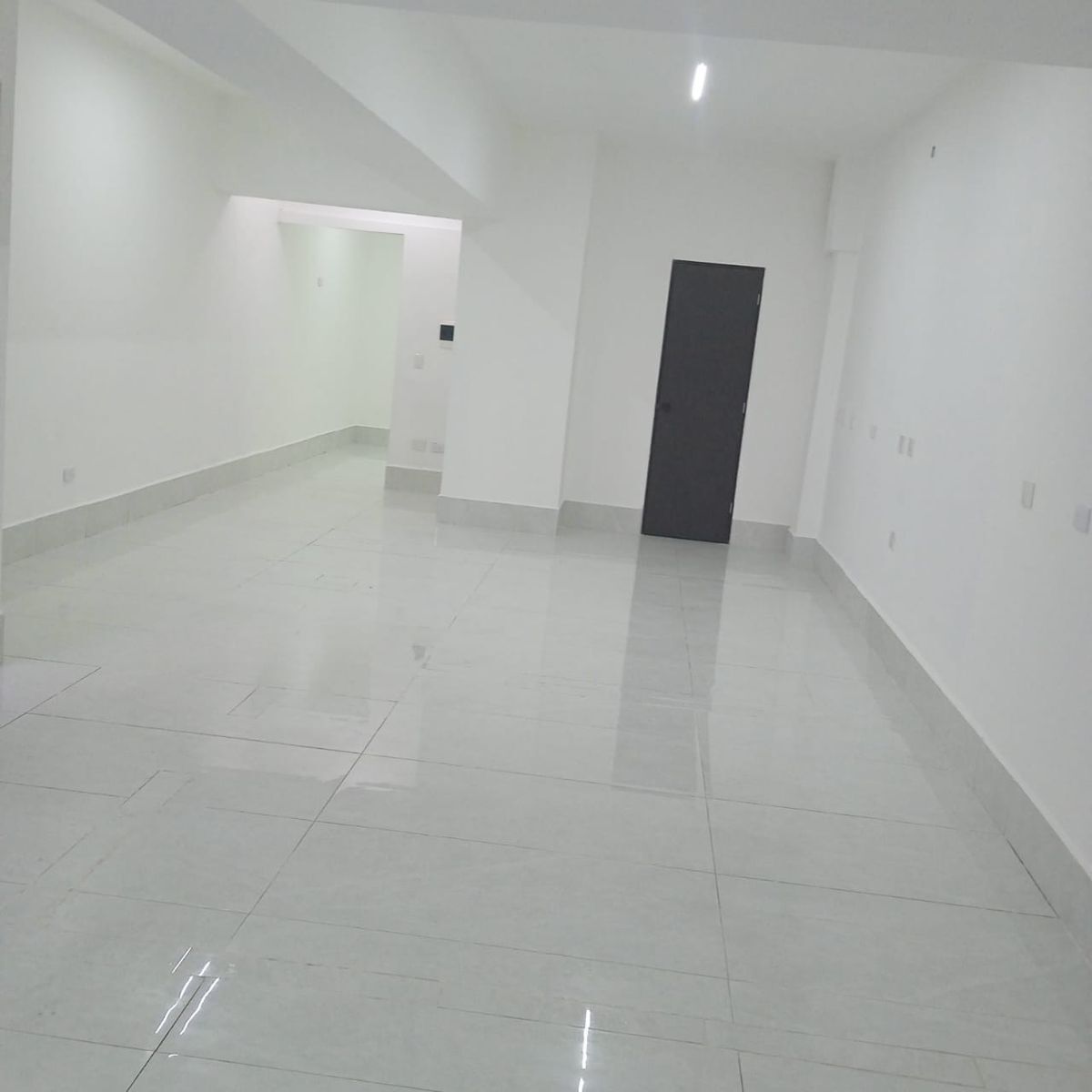 local-comercial-en-renta-en-el-corazn-de-spgg5-22279