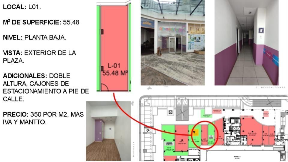 local-en-renta-en-plaza-sobre-av-chapultepec-l011-14694