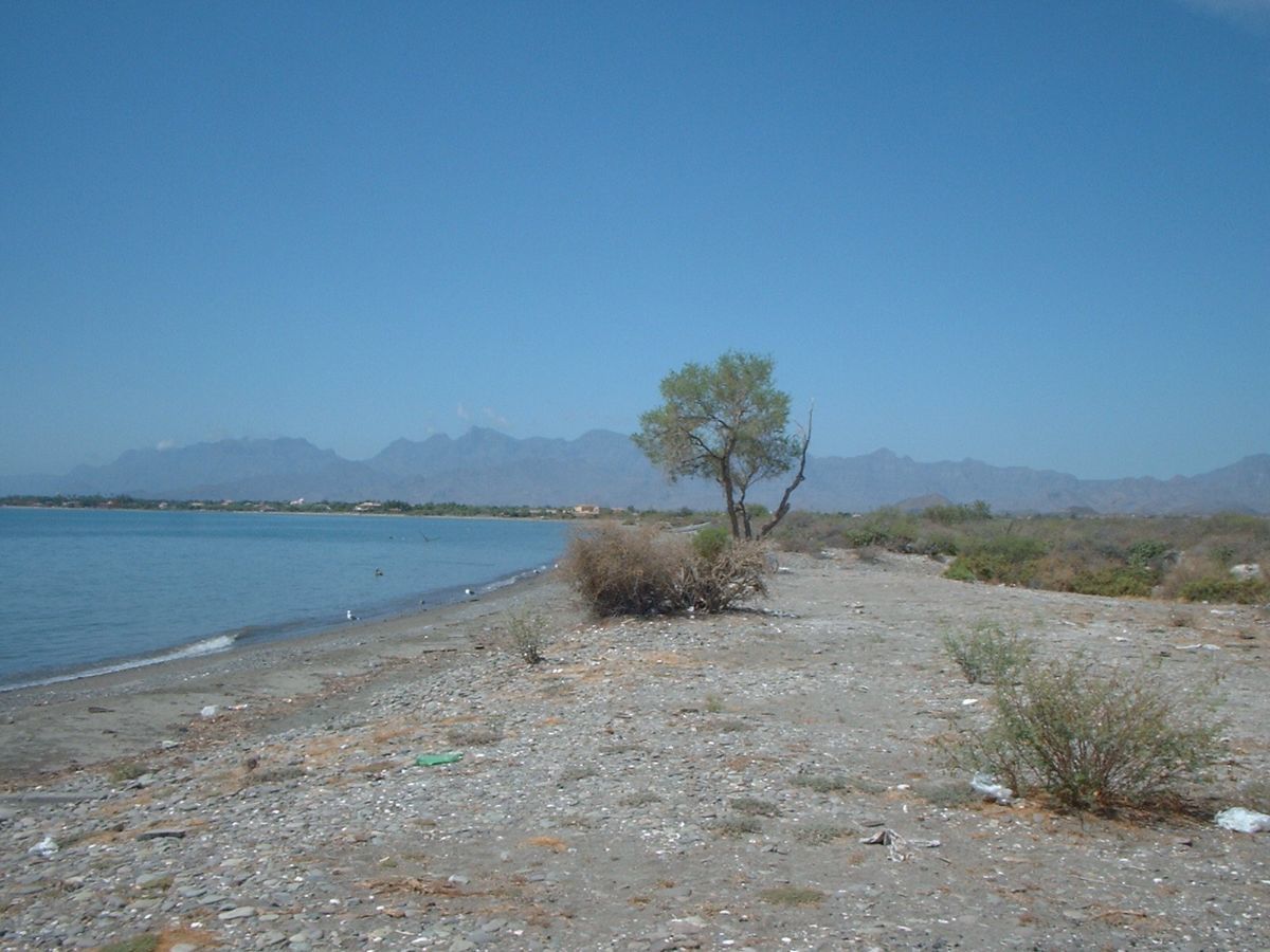 loreto-terreno-con-frente-a-la-playa-en-loreto--vocacion-turistica4-30338