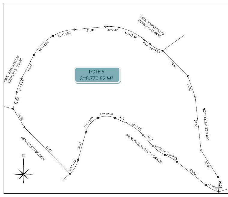 lot-9-amapas2-36420