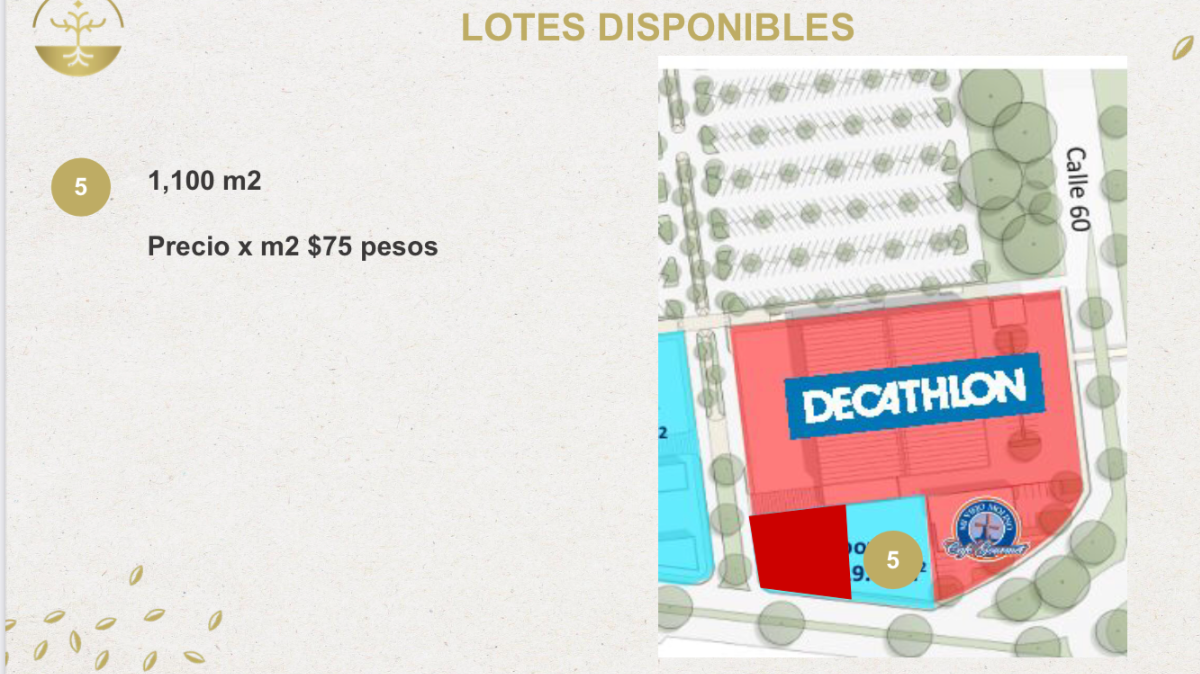 lote-comercial-en-renta-al-norte-de-mrida--a-un-costado-de-oxxo2-25998