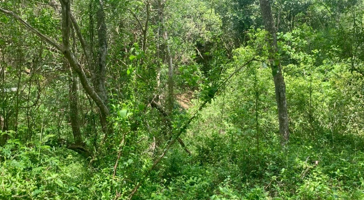 Lote de terreno en fraccionamiento Campestre Privado detrás de la Presa La Boca