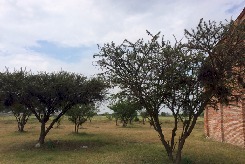 Lote Las Americas en Venta, Ignacio Ramírez en San Miguel de Allende