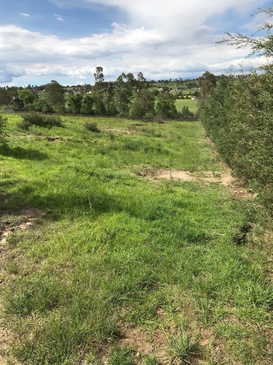 lotes-de-terrenos-en-venta-en-la-quinta-brenger-aculco-pueblo-mgico24-18906