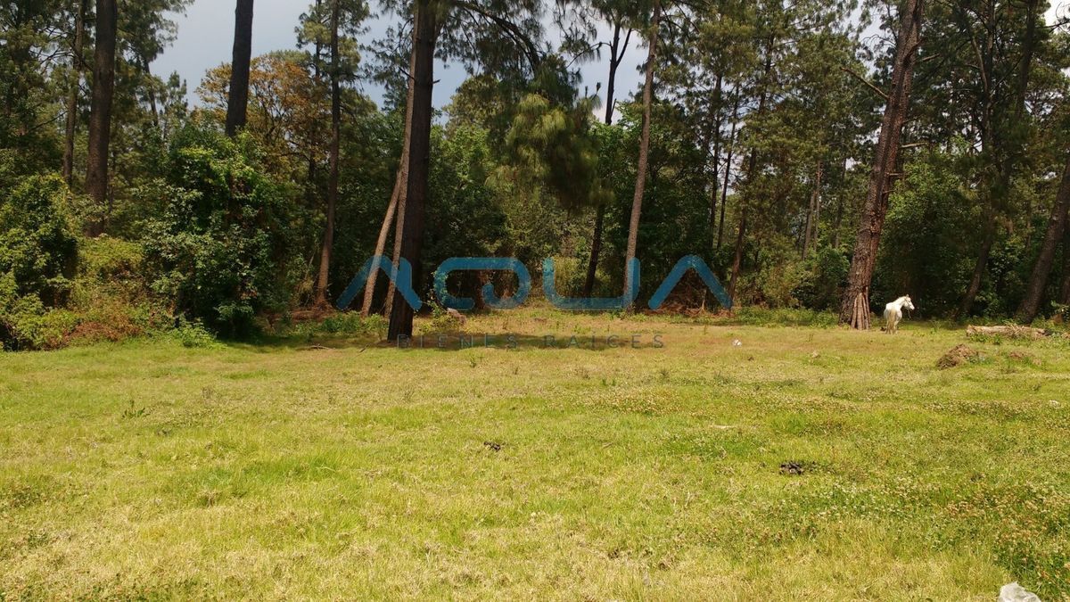 LOTES DESDE 1000 M2 A ESCASOS MINUTOS DE AVANDARO