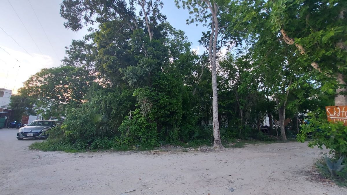 lotes-en-venta-con-total-de-1200-m2-en-la-veleta-tulum-densidad-h33-29061