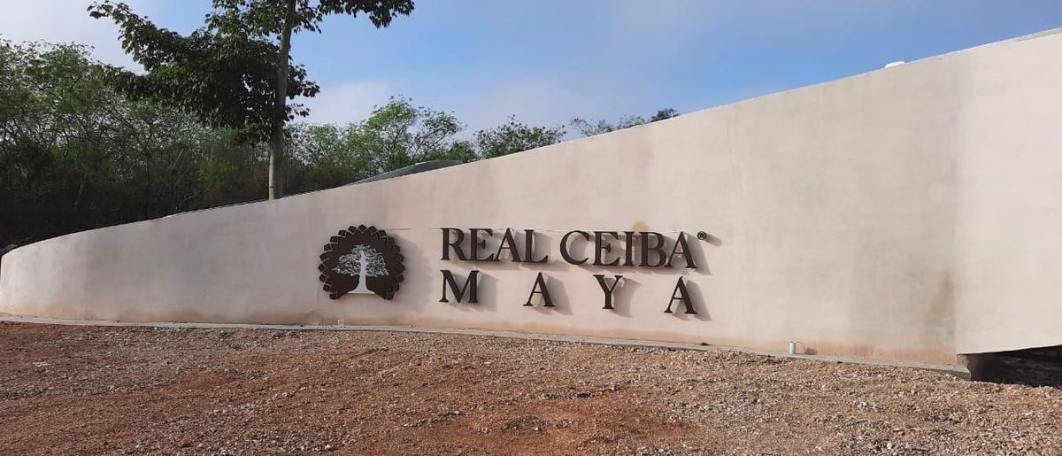 Lotes en Venta Real Ceiba Maya.