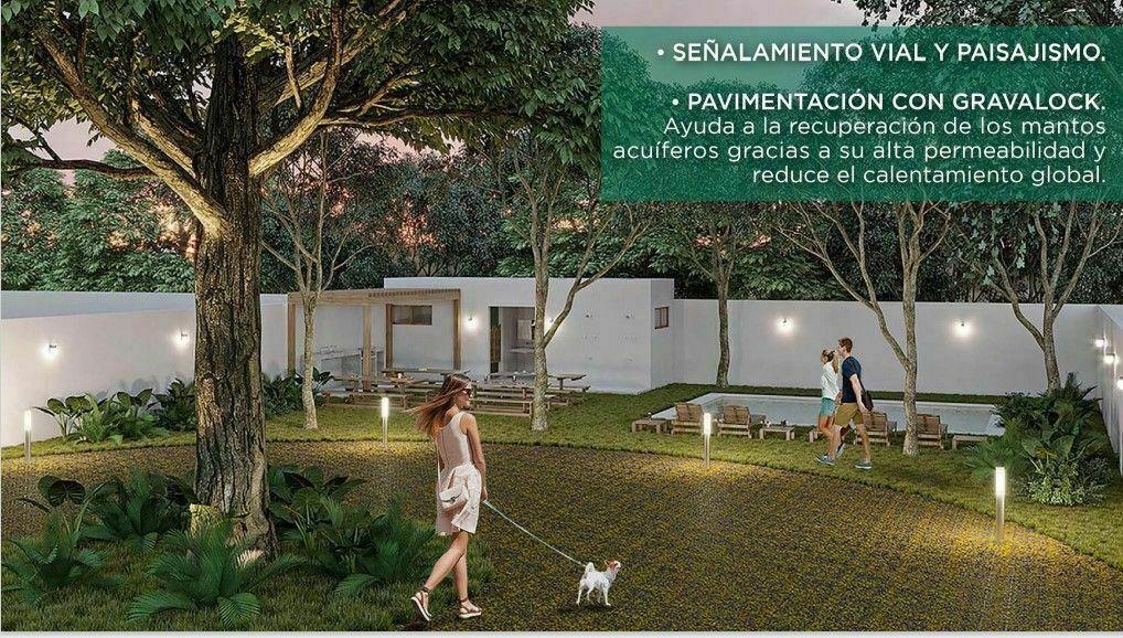 lotes-en-venta-real-ceiba-maya6-29961