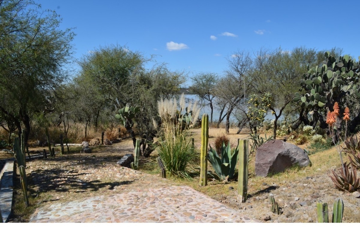 macrolote-en-san-miguel-de-allende24-34965