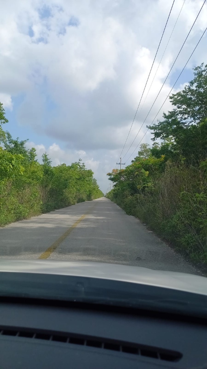 MACROLOTE EN SELVA SAGRADA CANCÚN