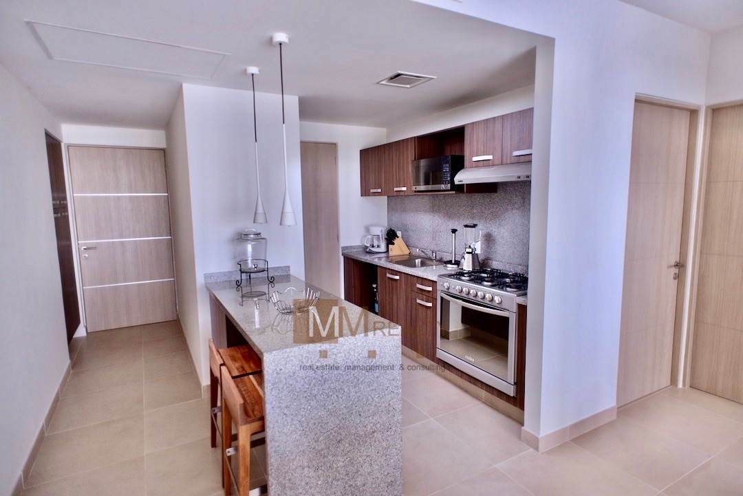 malecn-amricas--moderno-departamento-en-venta9-11939