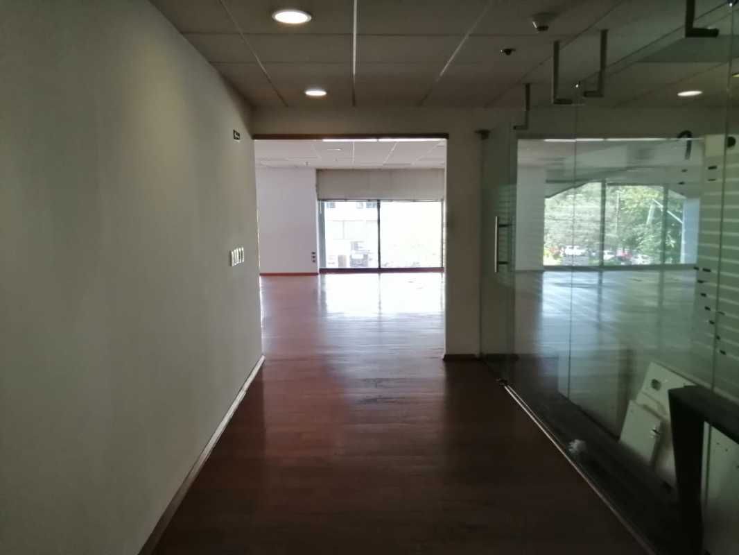 oficina-en-renta--polanco-miguel-hidalgo-piso-completo7-13777