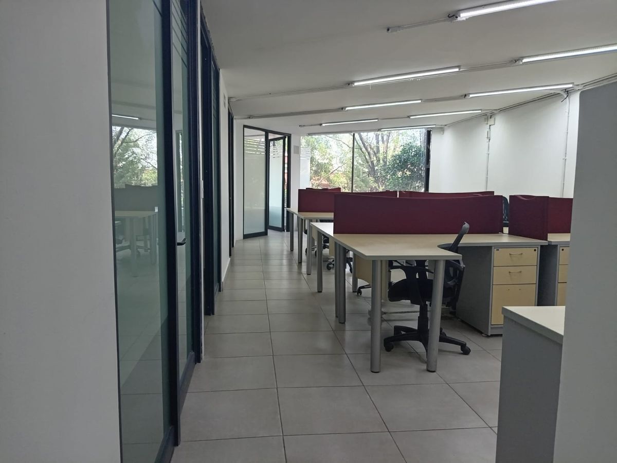 oficinas-en-renta-en-anzures15-31201