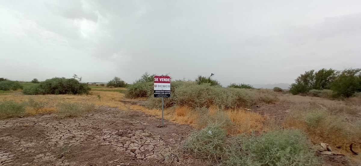 Parcela Agrícola con Permiso de Riego, Mexicali, B.C.