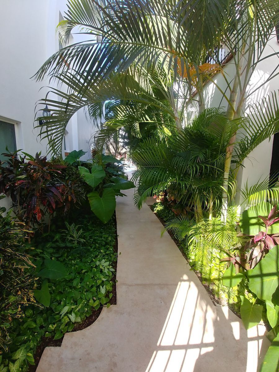 penthouse-de-2-recamaras-gaviotas-ii-playa-del-carmen14-17448