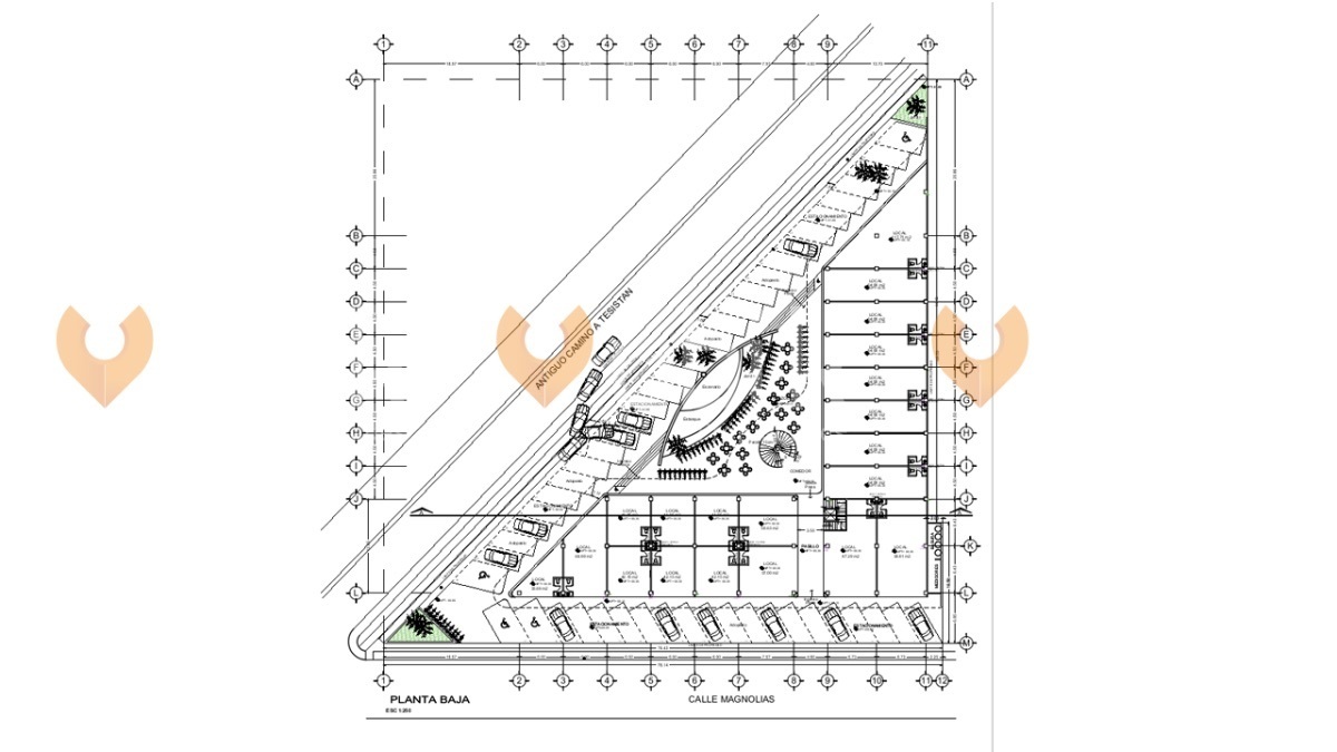 plaza-san-jose--local-en-plaza-entre-jardin-real-y-la-cima-de-zapopan11-15630