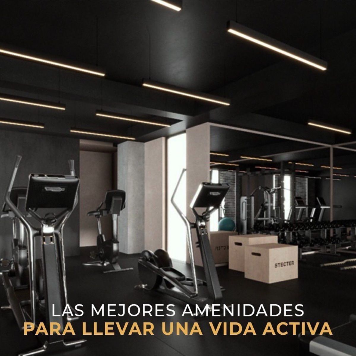 preventa-de-penthouse-black-eleven-en-zona-dorada-madero-cacho15-20451