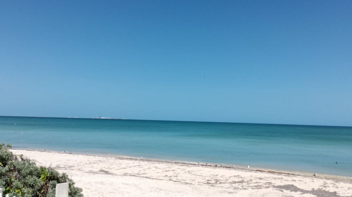 Propiedad frente al mar en Chicxulub Puerto