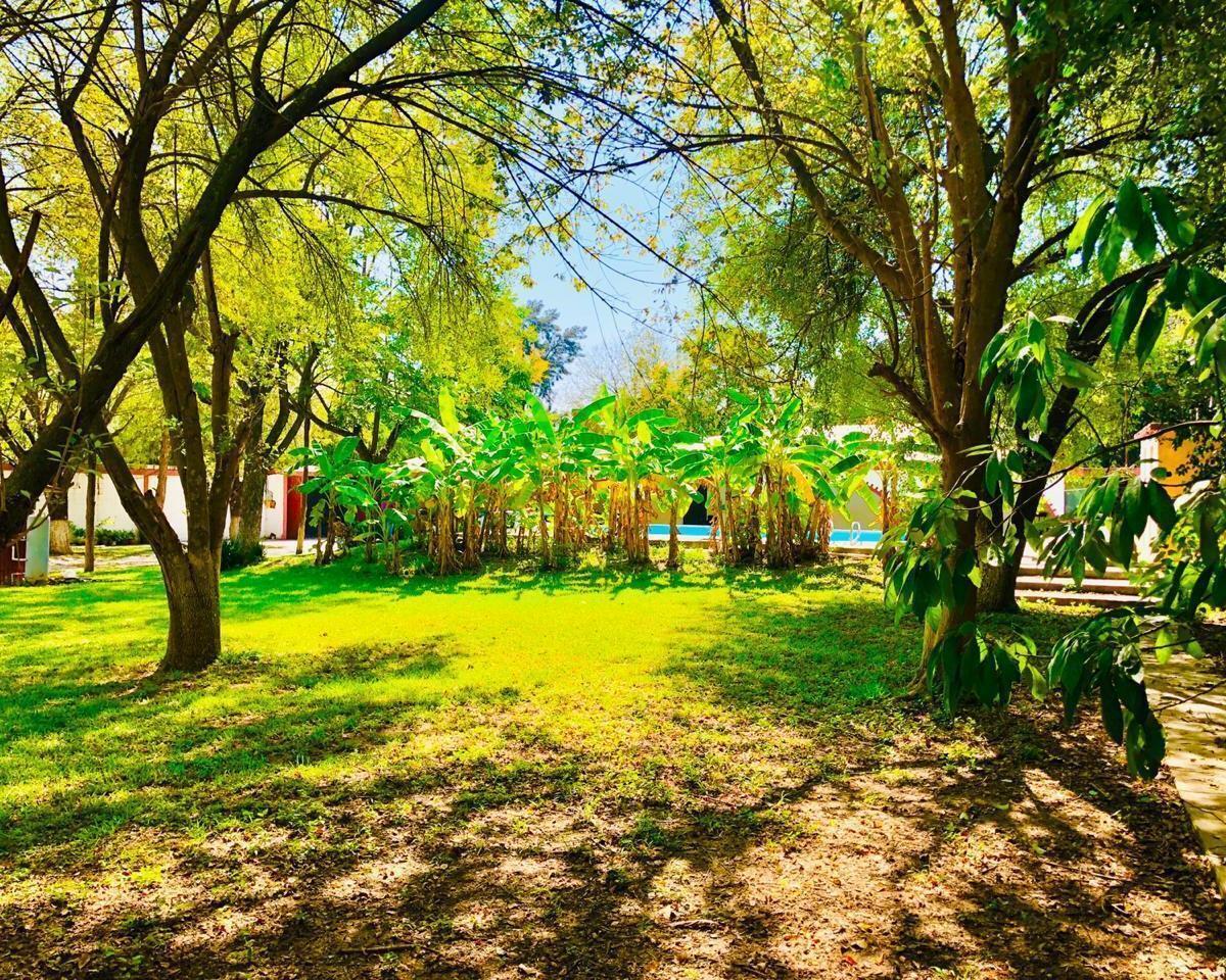 quinta-en-venta-en-el-yerbaniz-alberca-y-amplio-jardin-de-oportunidad-16-37366