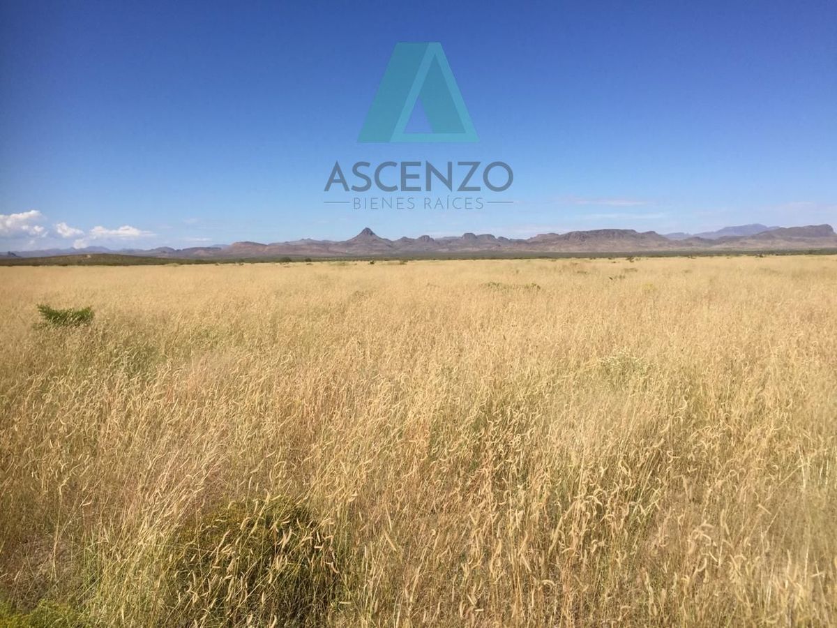 RANCHO AGRÍCOLA EN VENTA POR OJO LAGUNA CARR. CD JUAREZ