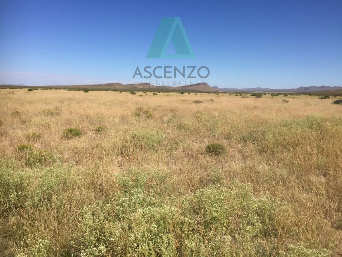 rancho-agrcola-en-venta-por-ojo-laguna-carr-cd-juarez4-33119