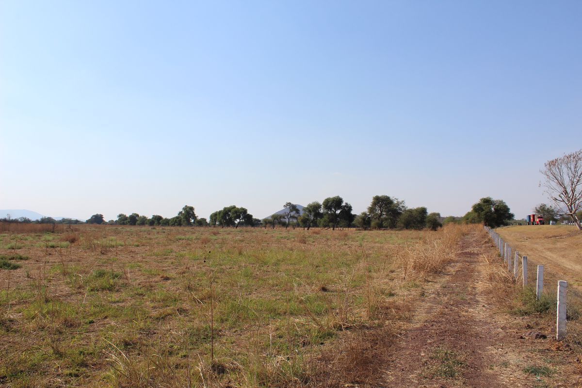 RANCHO AGRICOLA EN ZACOALCO DE TORRES JALISCO