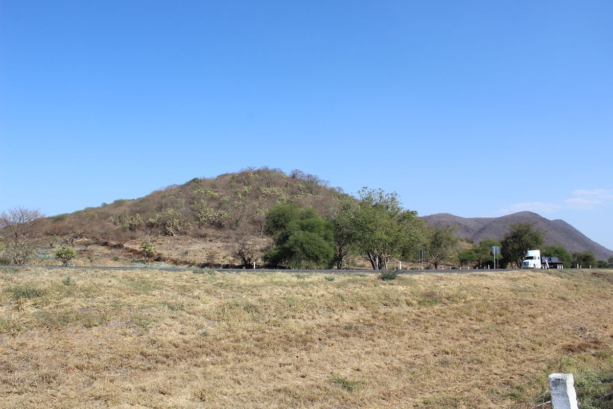 rancho-agricola-en-zacoalco-de-torres-jalisco12-23004