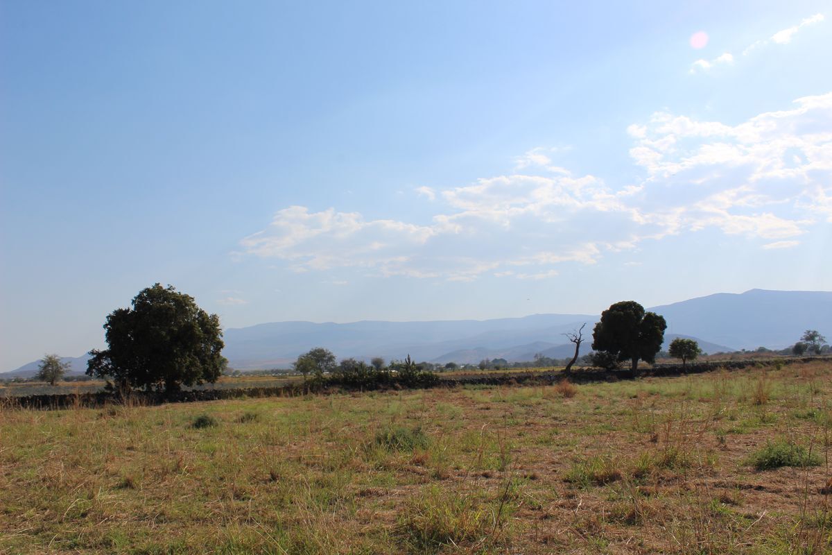 rancho-agricola-en-zacoalco-de-torres-jalisco13-23004