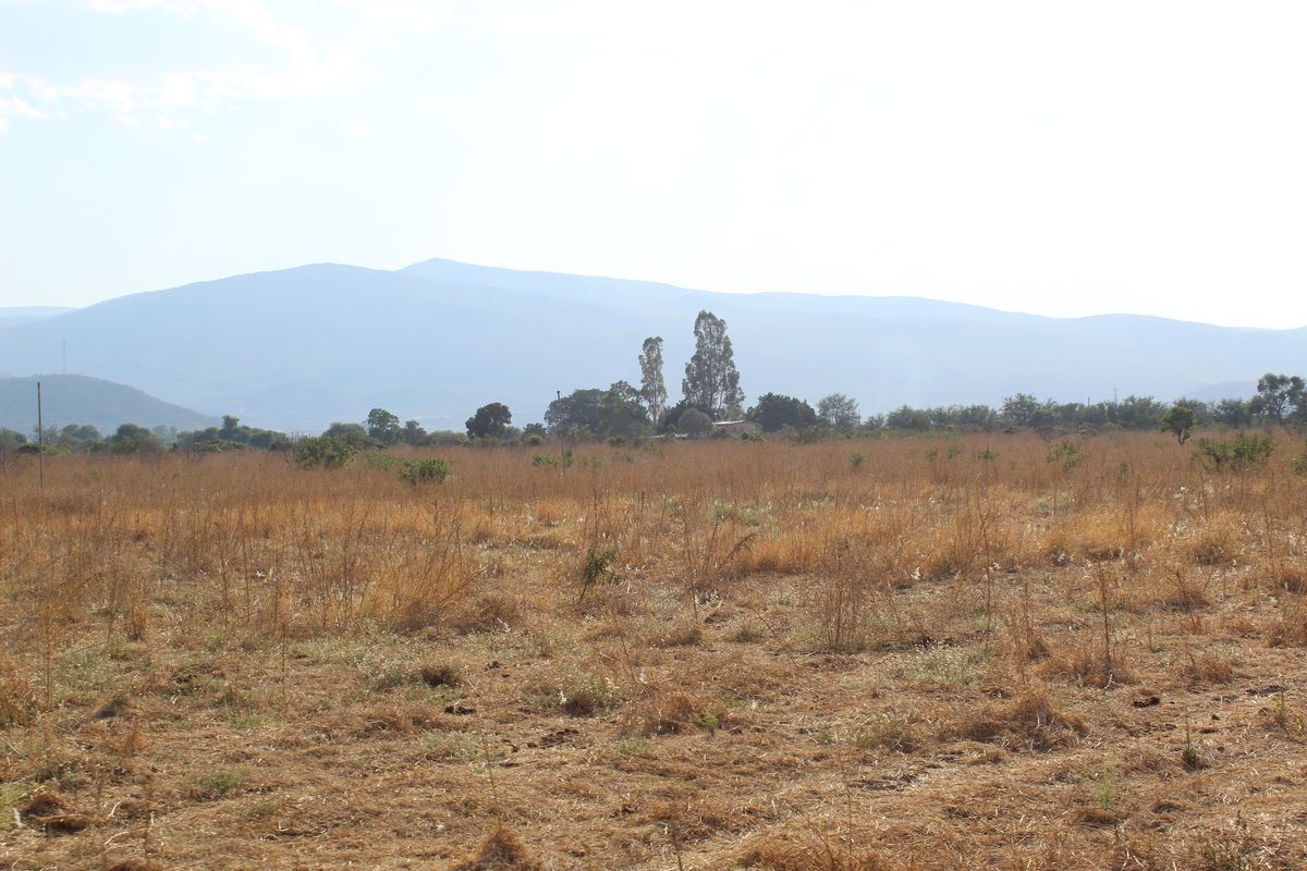 rancho-agricola-en-zacoalco-de-torres-jalisco16-23004