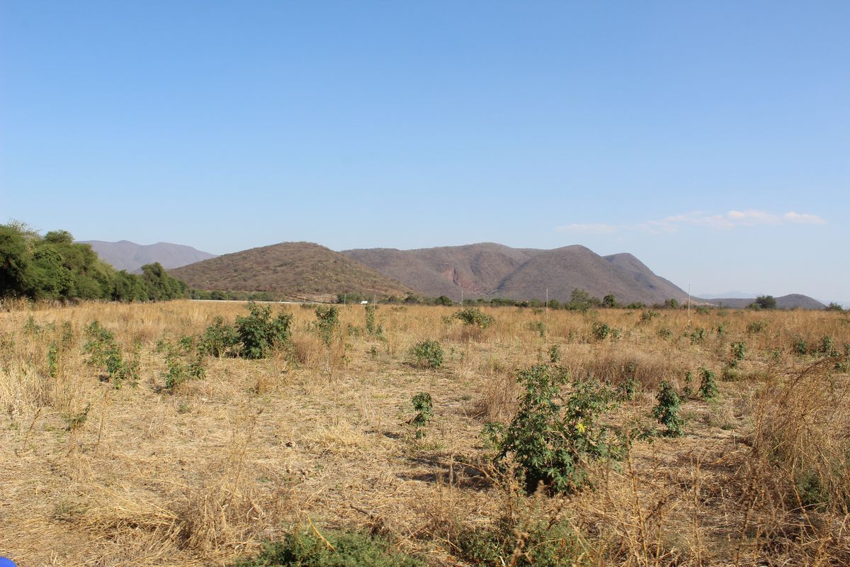 rancho-agricola-en-zacoalco-de-torres-jalisco17-23004