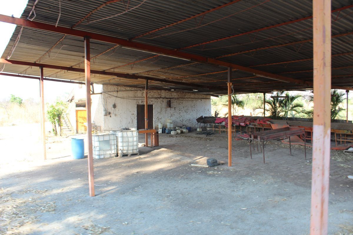 rancho-agricola-en-zacoalco-de-torres-jalisco19-23004