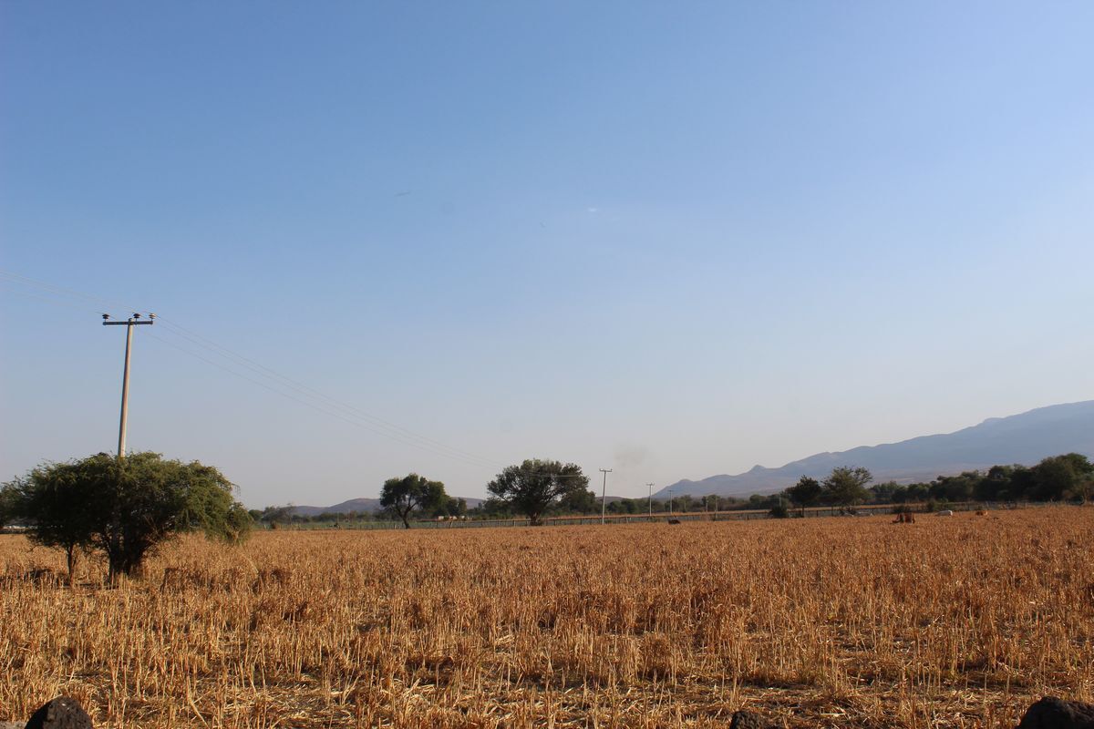 rancho-agricola-en-zacoalco-de-torres-jalisco23-23004