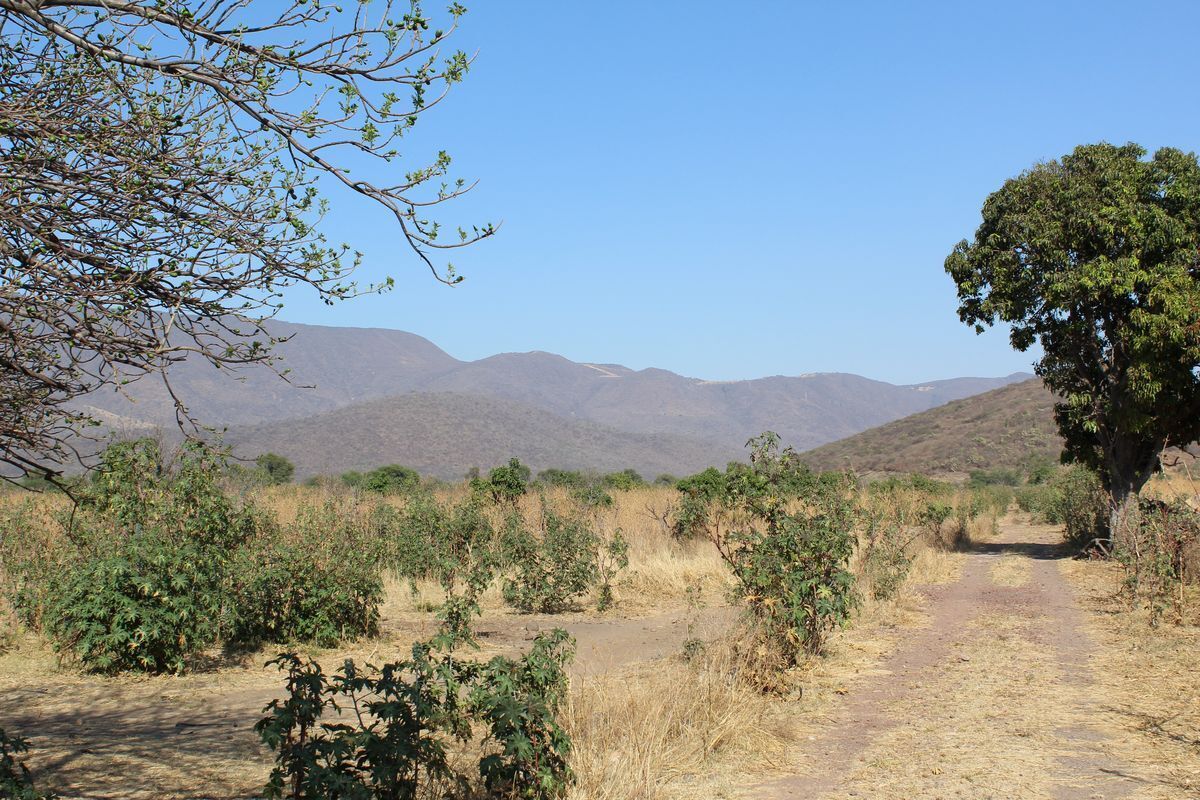 rancho-agricola-en-zacoalco-de-torres-jalisco8-23004