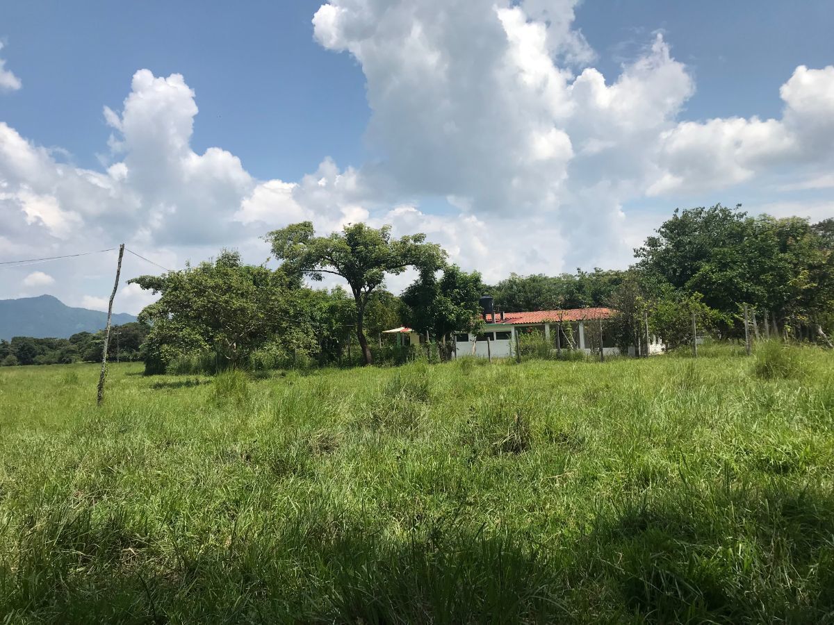 rancho-de-65has-en-venta-en-la-concordia-chiapas10-35061